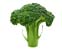 tag Broccoli icon
